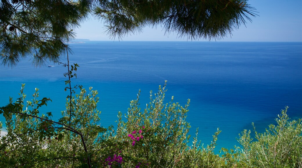 Scilla