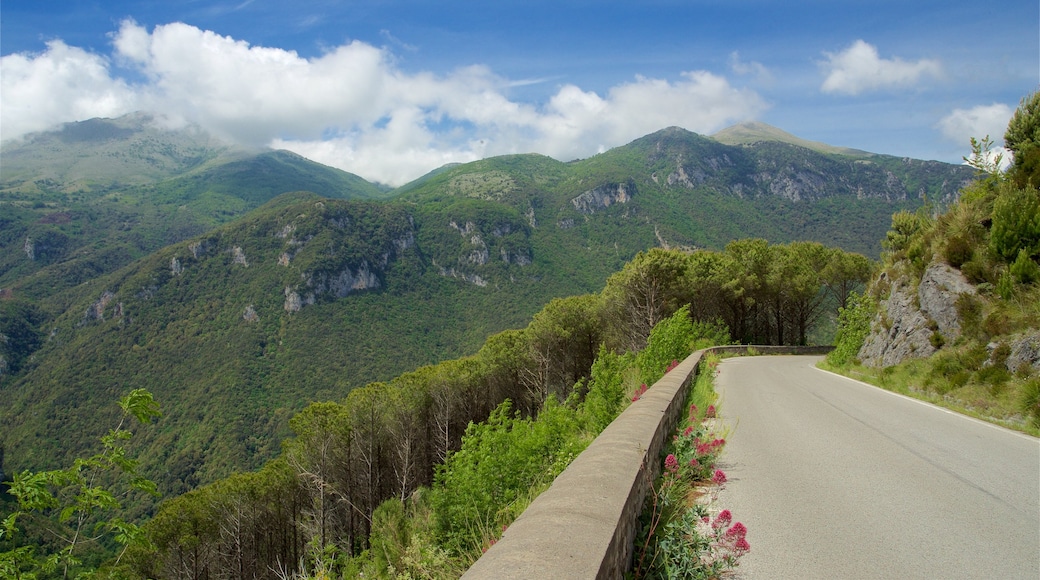 Nationaal Park Pollino