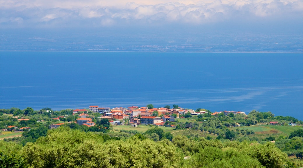 Zungri