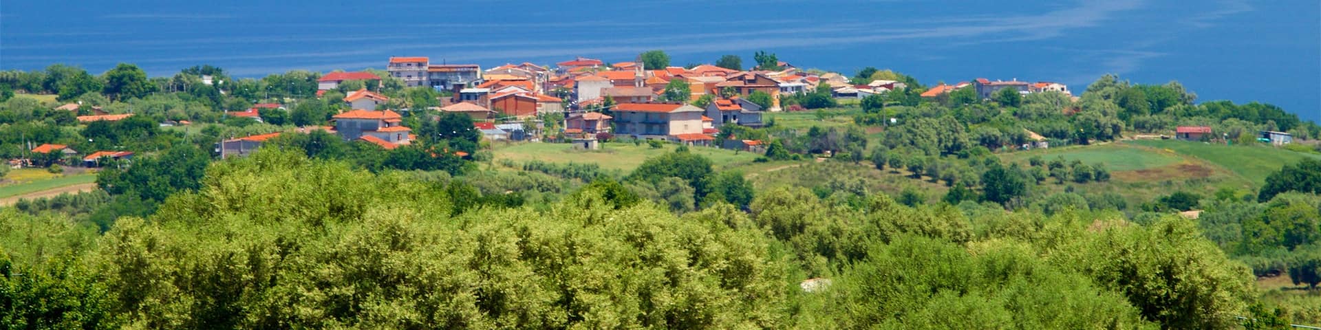 Zungri