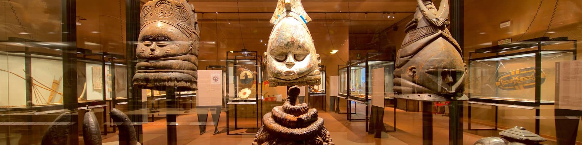 Naturkundmuseum Caffi