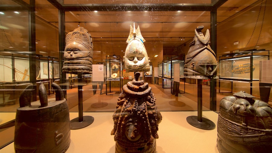 Museu de CiĂȘncia Natural de Caffi