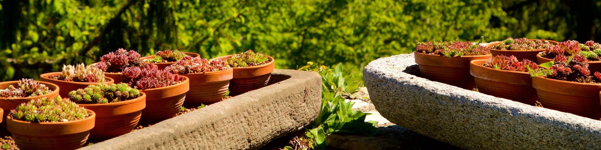 Bergamo Botanical Garden