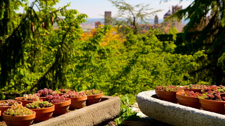 Bergamo Botanical Garden