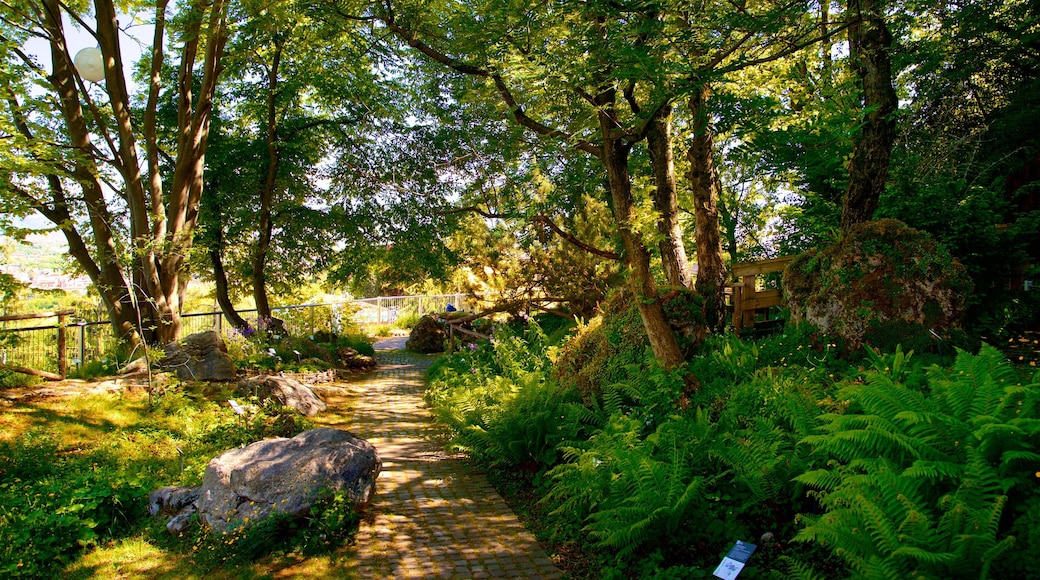 Jardin botanique de Bergame