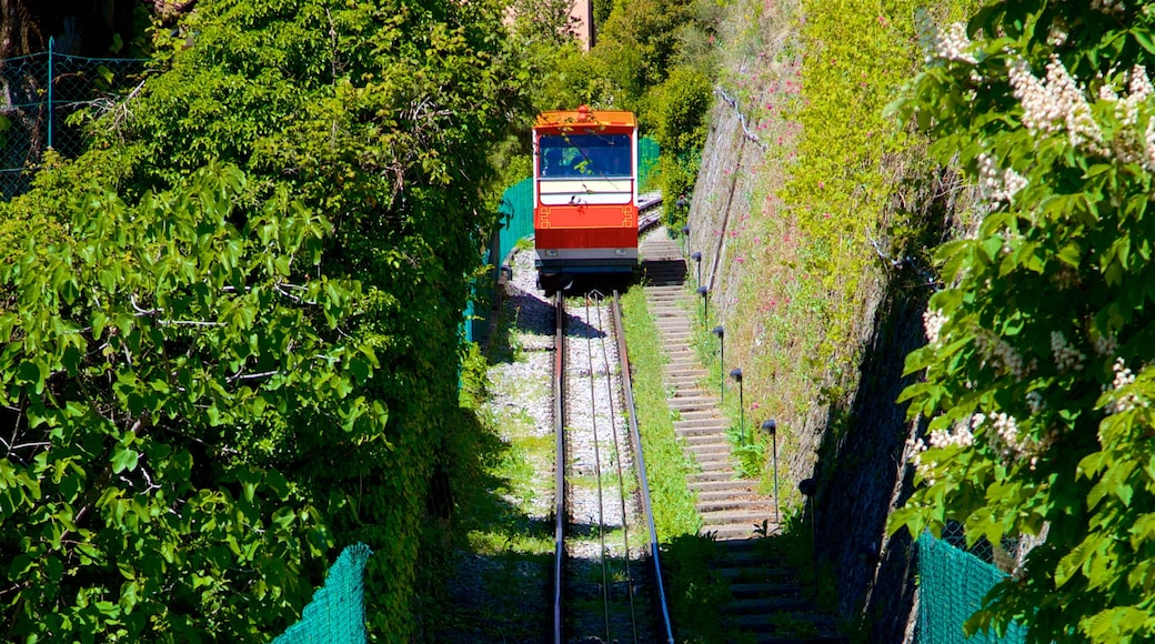 Bergamo