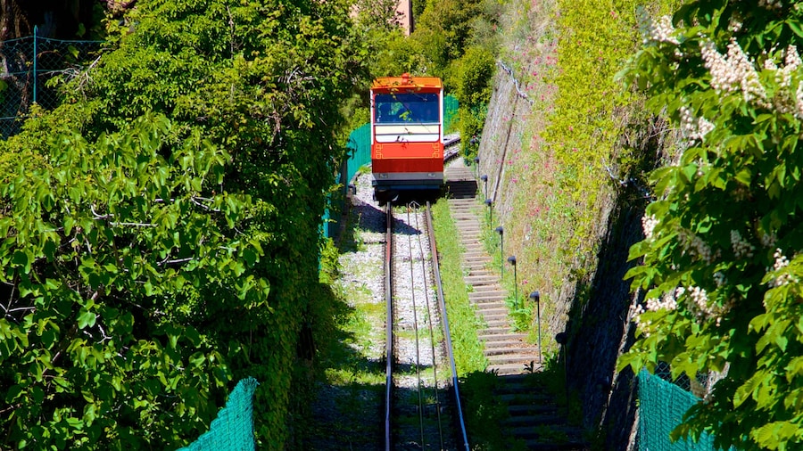 Bergamo