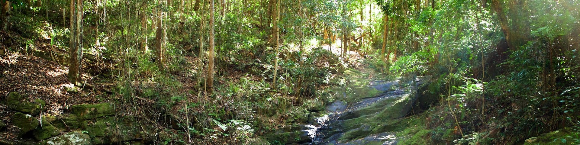 Kondalilla National Park