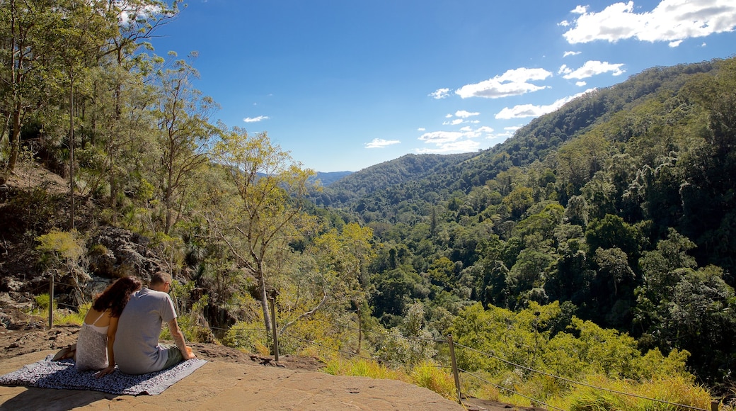 Kondalilla National Park