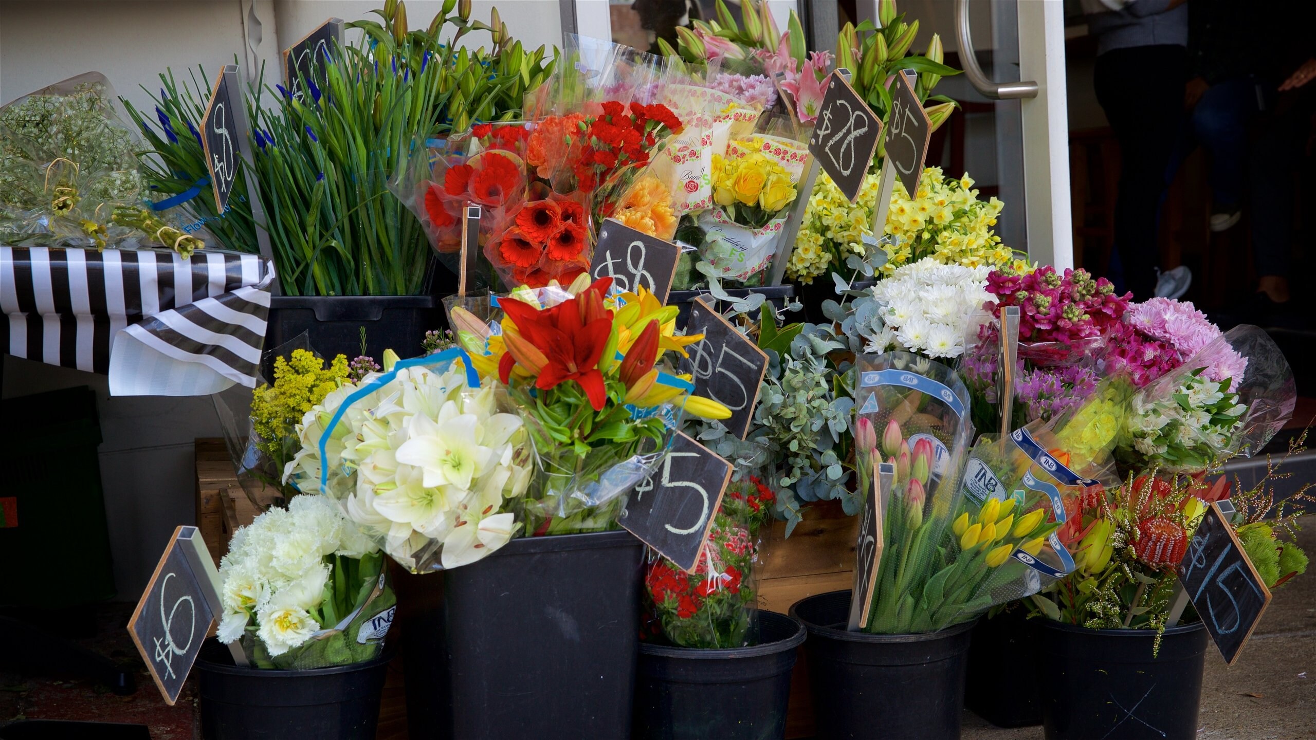 Visit Spring Hill 2024 Spring Hill, Brisbane Travel Guide Expedia