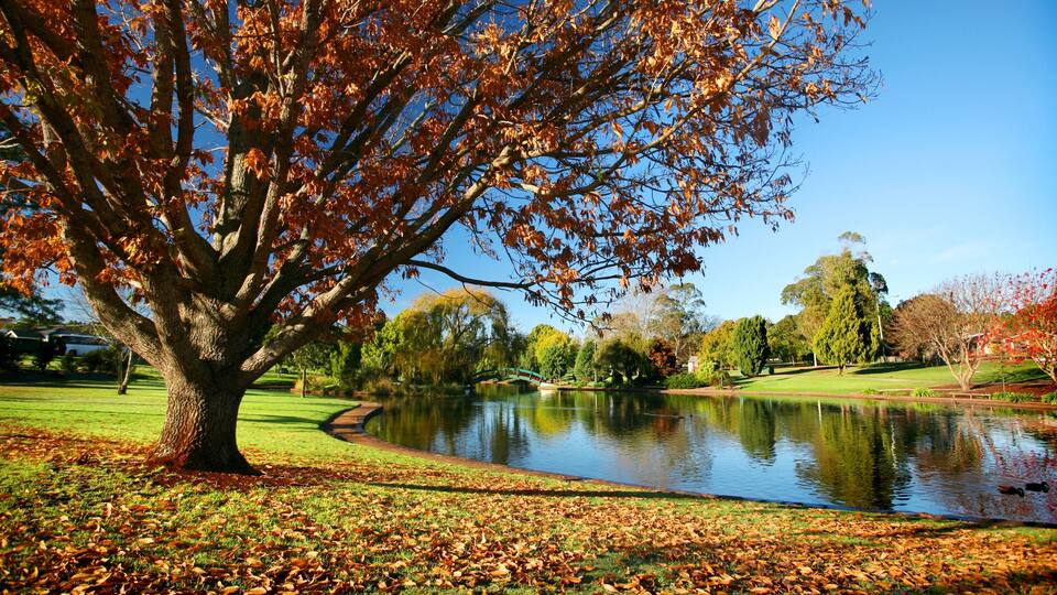 Toowoomba
