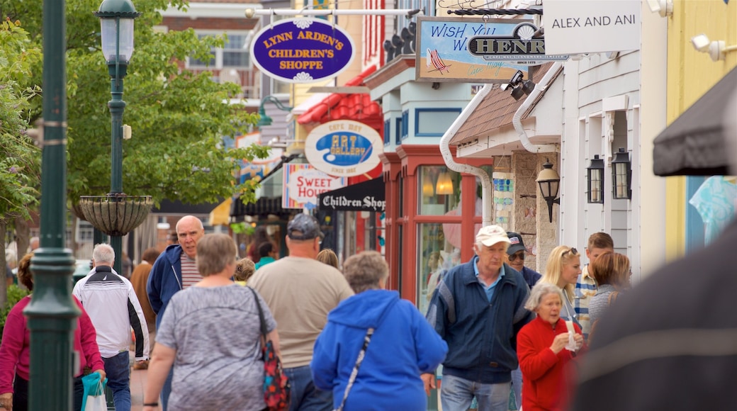 Distrik Bersejarah Cape May