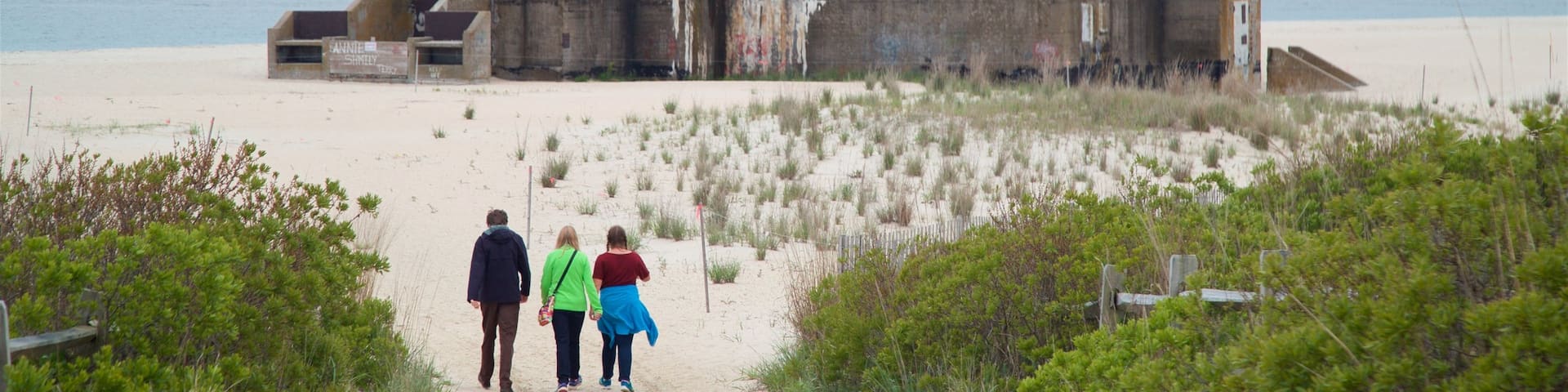 Cape May Point State Park which includes a beach, military items and heritage elements
