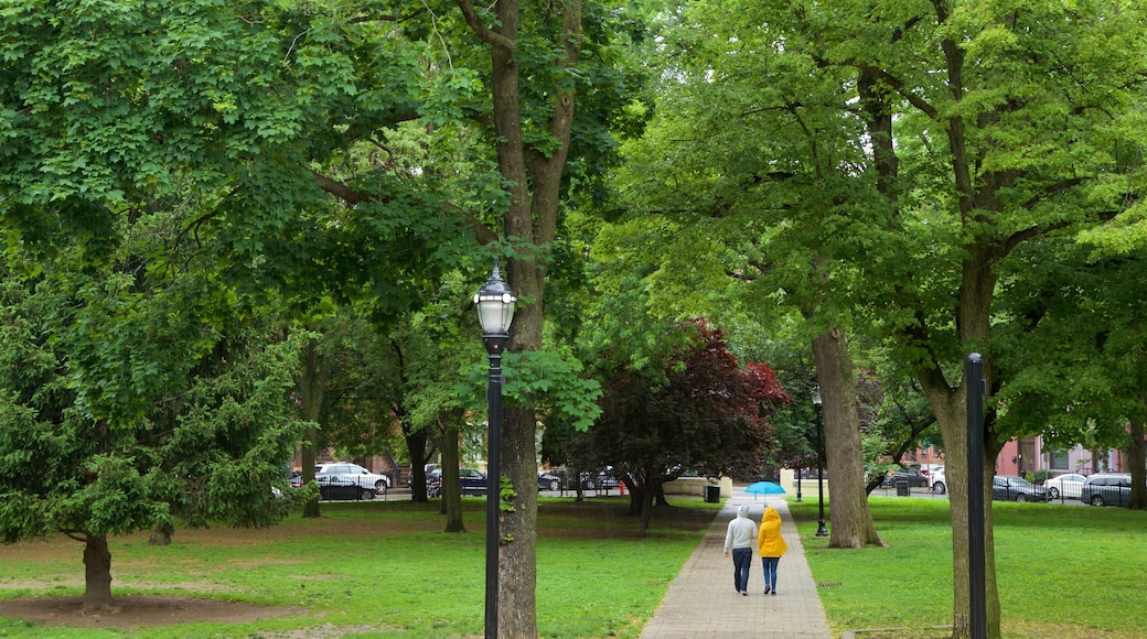 Hamilton Park featuring a garden as well as a couple