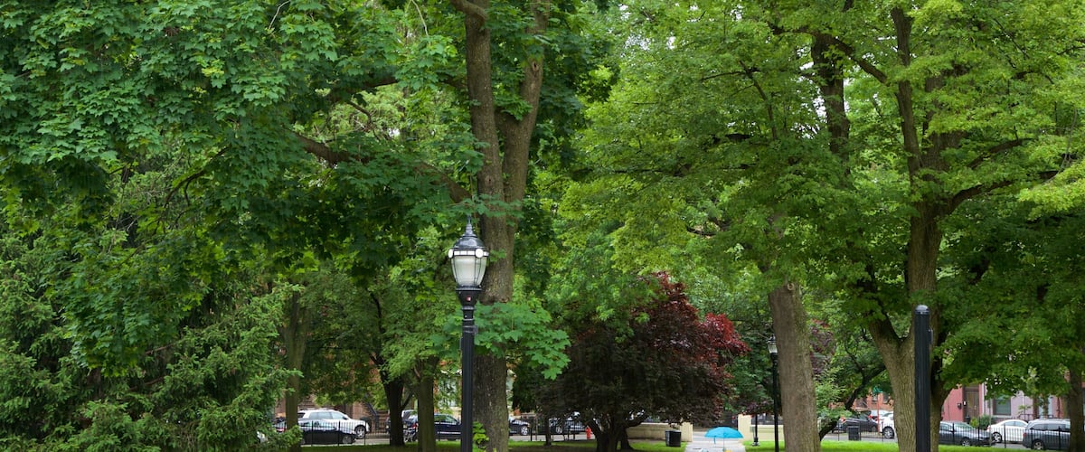 Hamilton Park ofreciendo un jardín y también una pareja