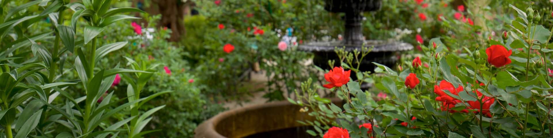 Van Vorst Park which includes wild flowers, a garden and a fountain