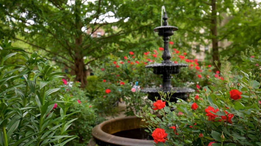 Van Vorst Park mostrando giardino, fiori di campo e fontana