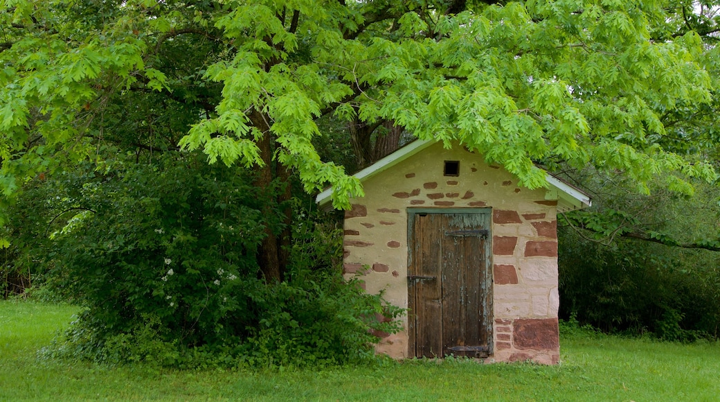 Princeton Battlefield State Park showing heritage elements