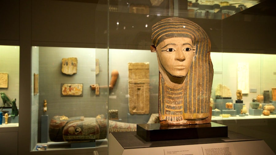 Princeton University Art Museum showing heritage elements and interior views