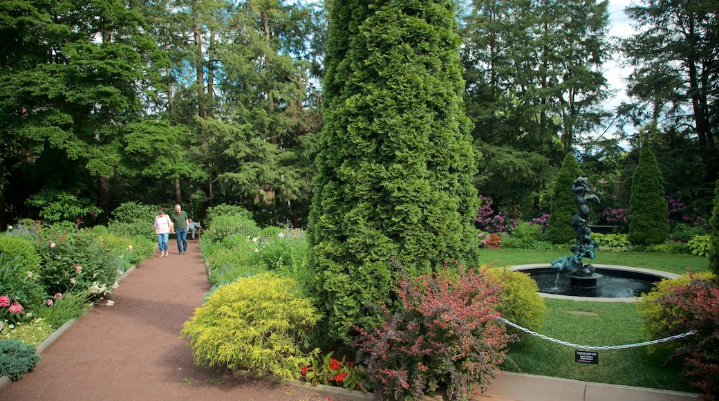 Princeton University mit einem Garten, Straßenszenen und Springbrunnen