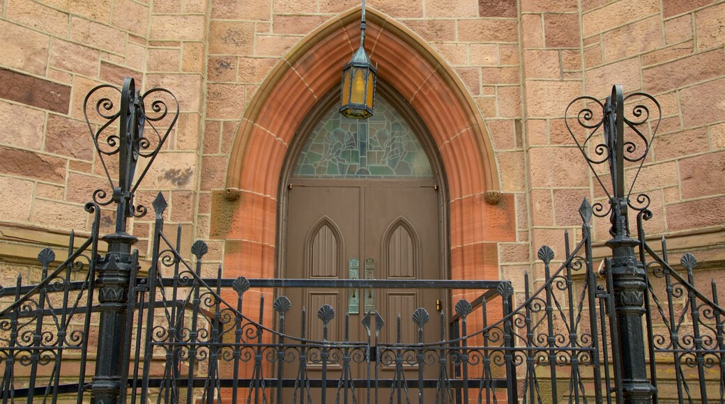 Cathedral of the Immaculate Conception featuring heritage elements