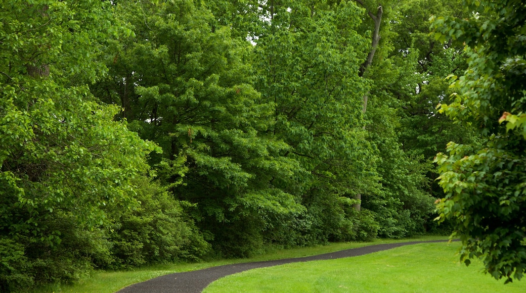 Parc de Branch Brook montrant jardin