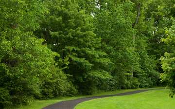 ブランチ ブルック パーク フォレスト ヒル旅行 エクスペディア ブランチ ブルック パーク フォレスト ヒル旅行 エクスペディア