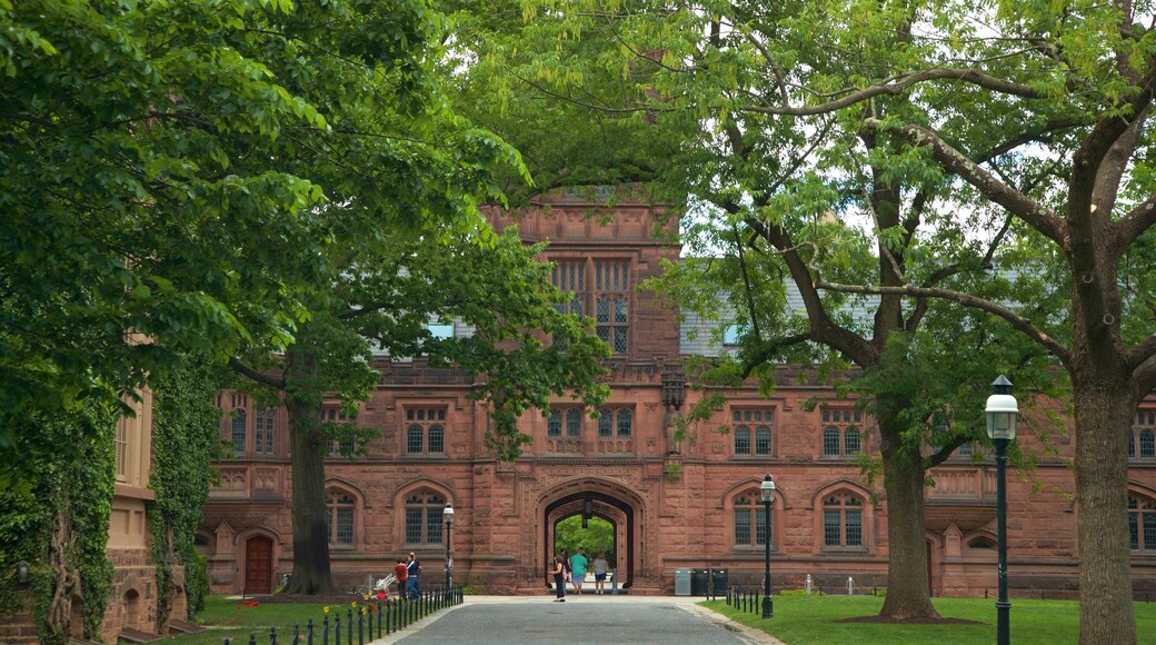 Princeton University caracterizando um parque e elementos de patrimĂŽnio