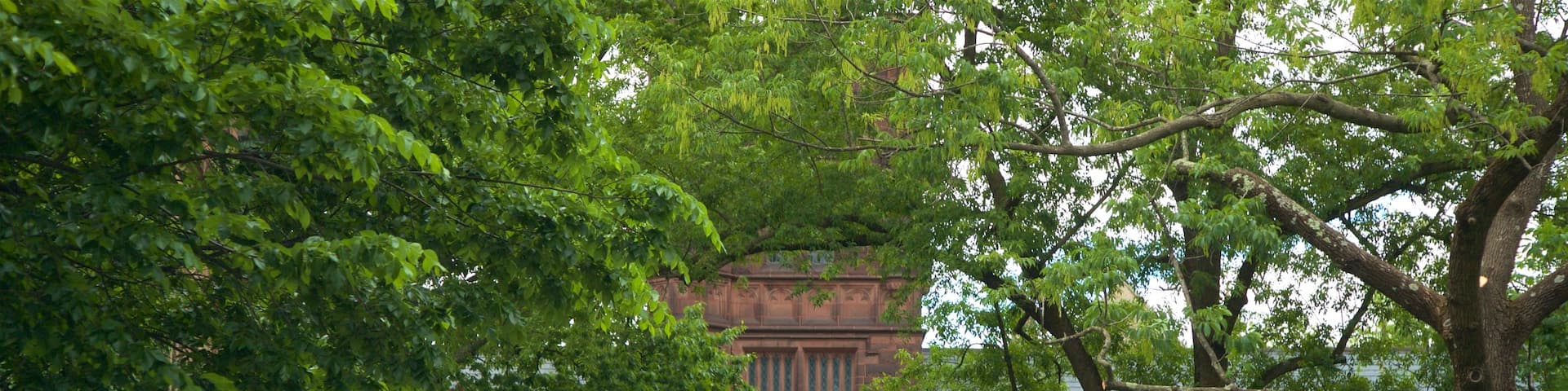 Université de Princeton mettant en vedette un parc et éléments du patrimoine
