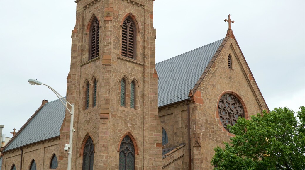 Cathedral of the Immaculate Conception que inclui uma igreja ou catedral e elementos de patrimĂŽnio