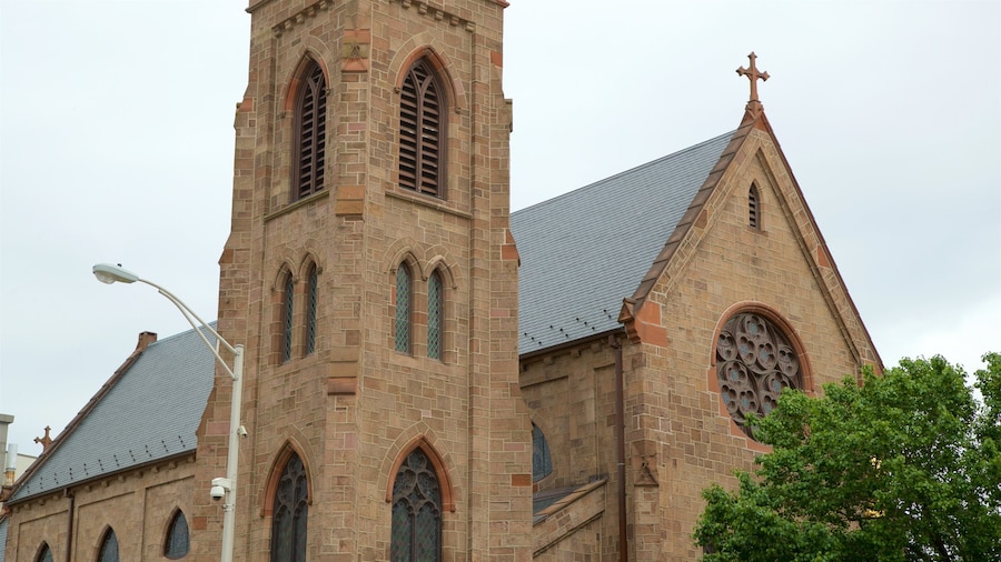 Cathedral of the Immaculate Conception showing heritage elements and a church or cathedral