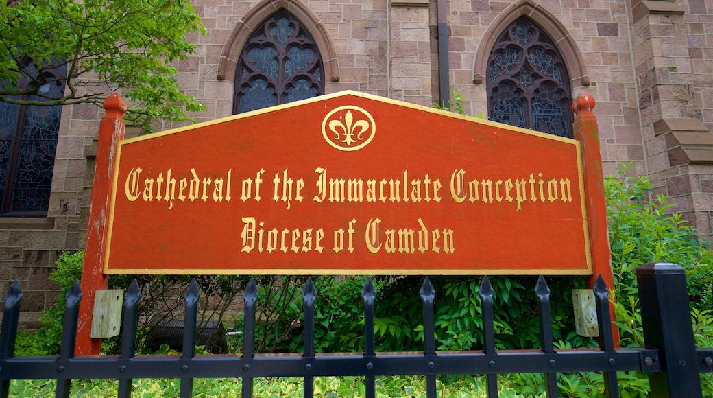 Cathedral of the Immaculate Conception showing signage