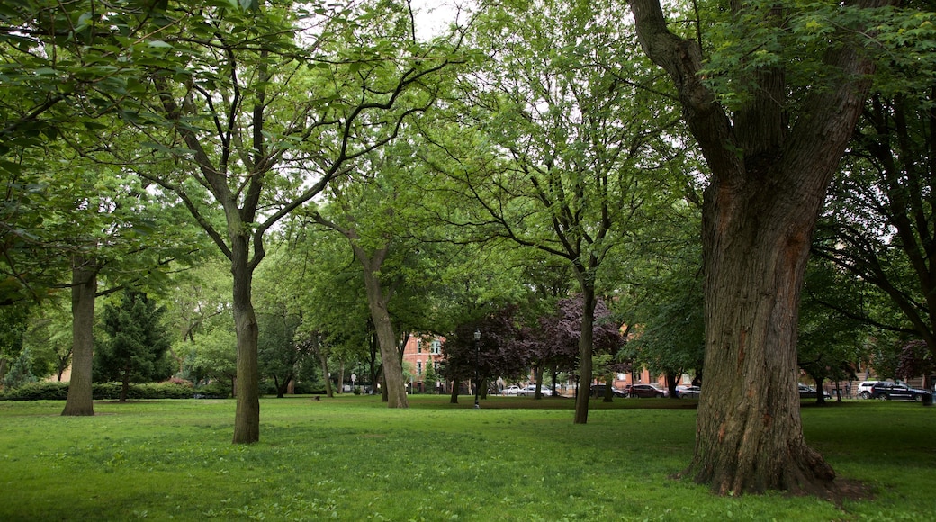 Hamilton Park featuring a garden