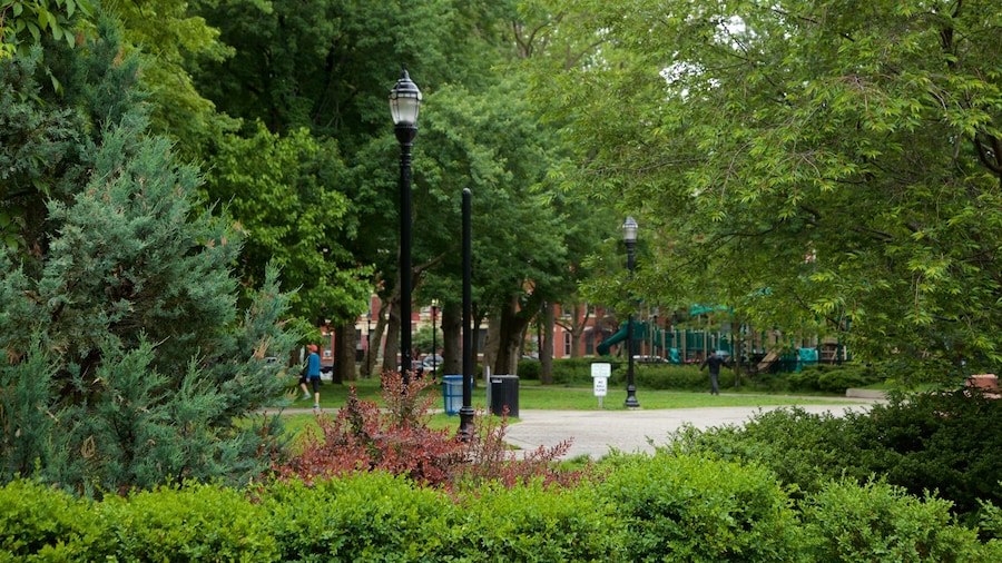 Hamilton Park caratteristiche di giardino