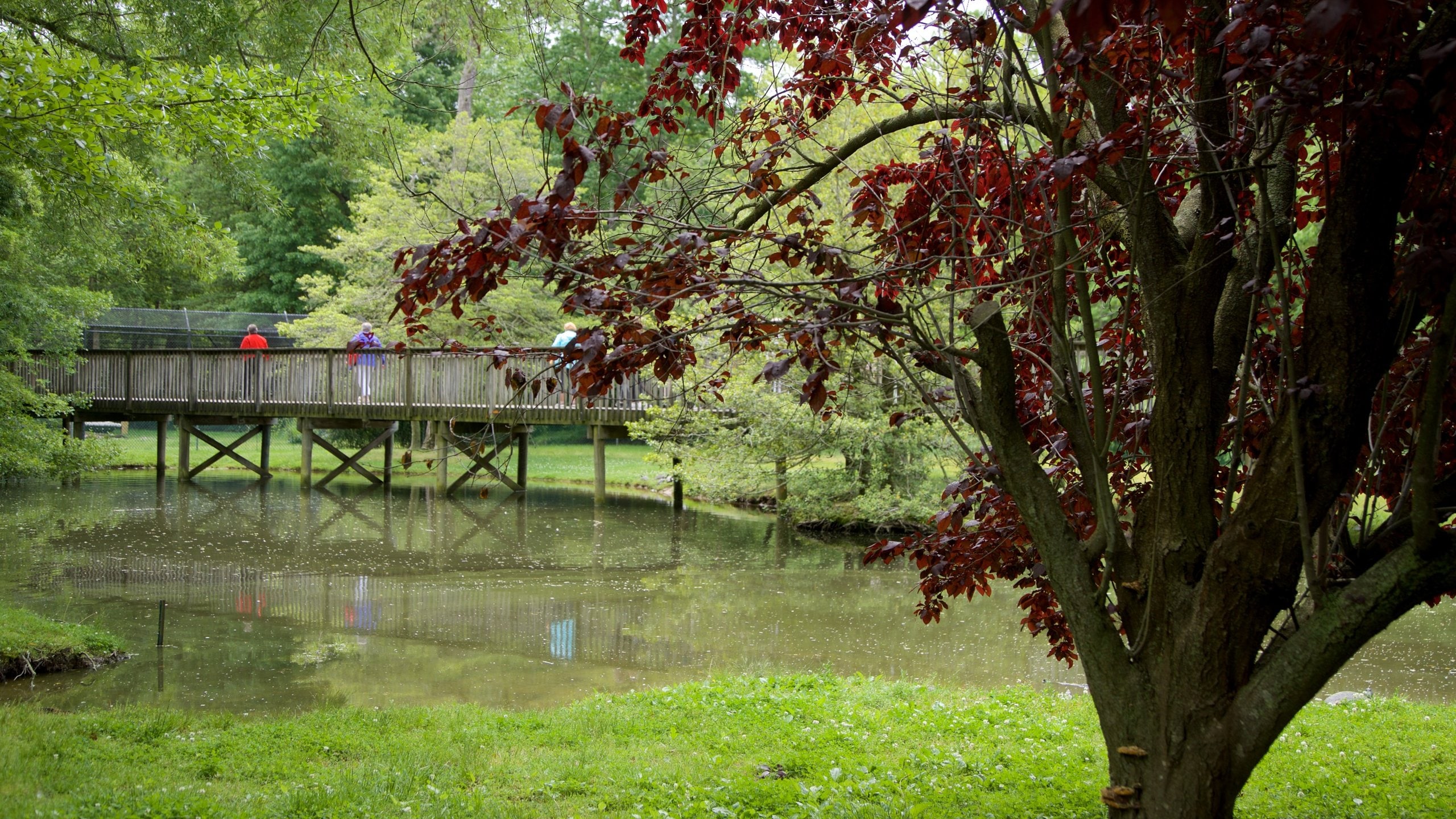 Cape May County Zoo featuring a pond and a bridge