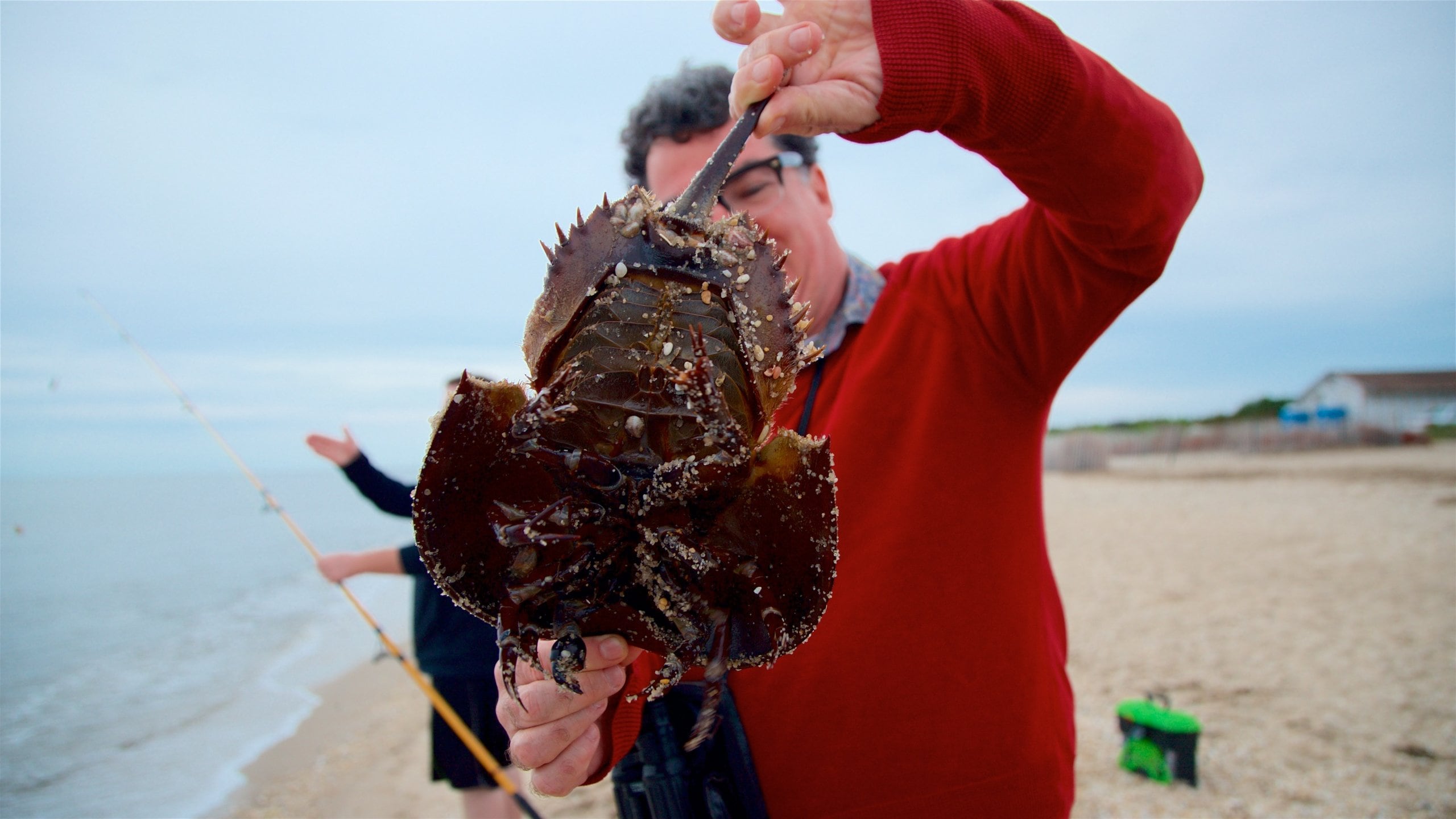 The Best Fishing Resorts & Hotels in Jersey Shore, NJ from $42 in 2021