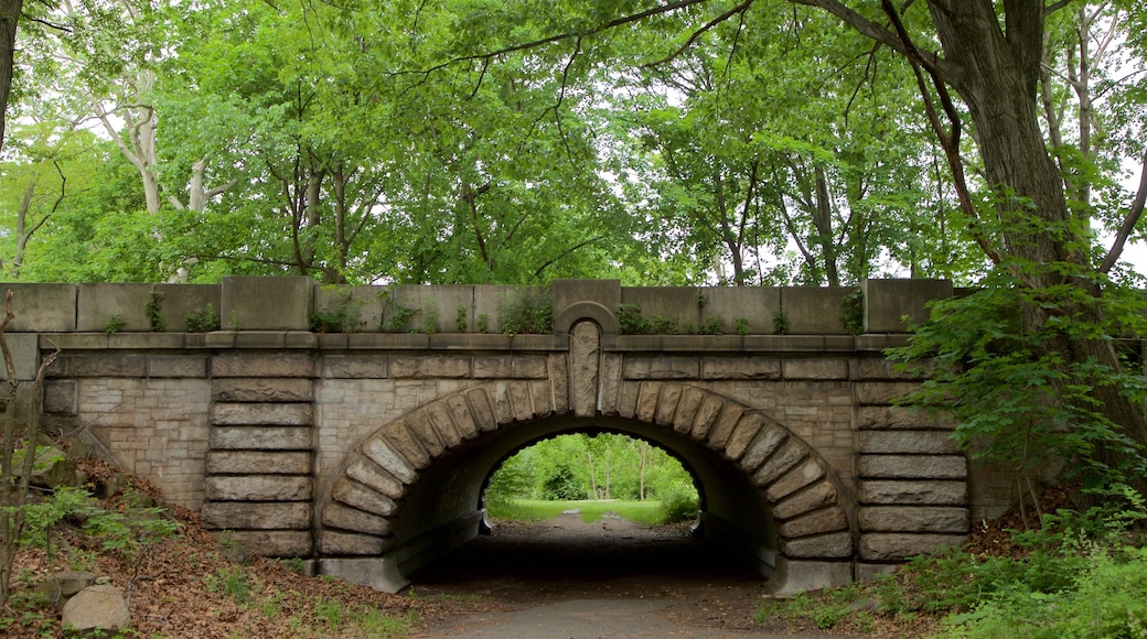 Branch Brook Park featuring a garden and a bridge