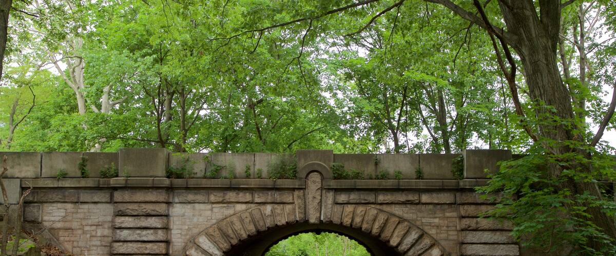 Branch Brook Park which includes a bridge and a garden
