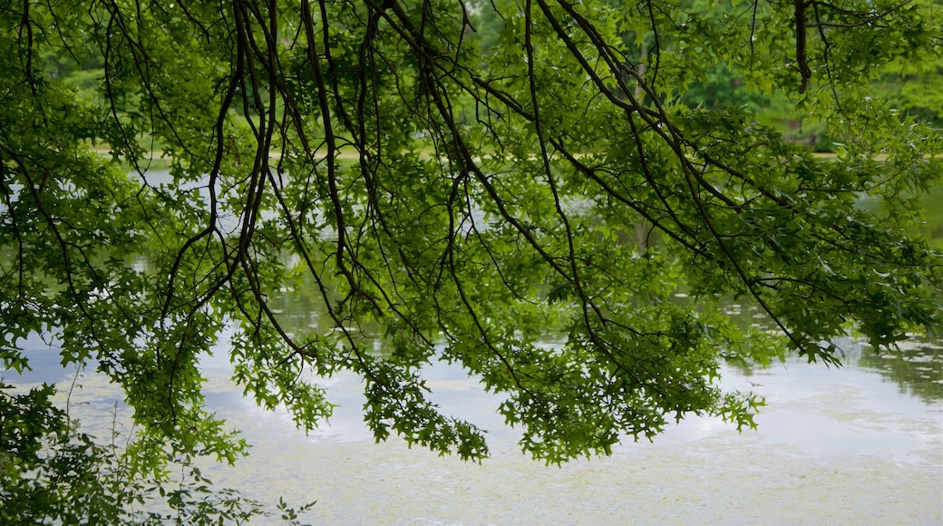 Branch Brook Park mit einem Teich