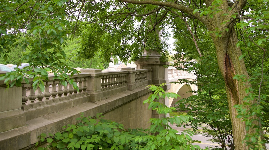 Branch Brook Park showing a bridge