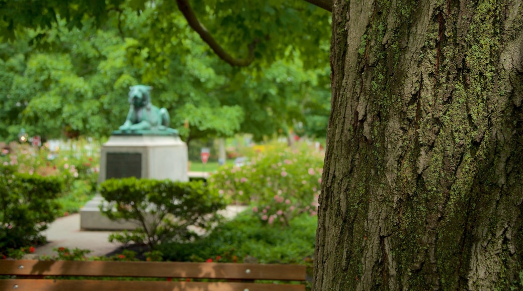 Palmer Square showing a park