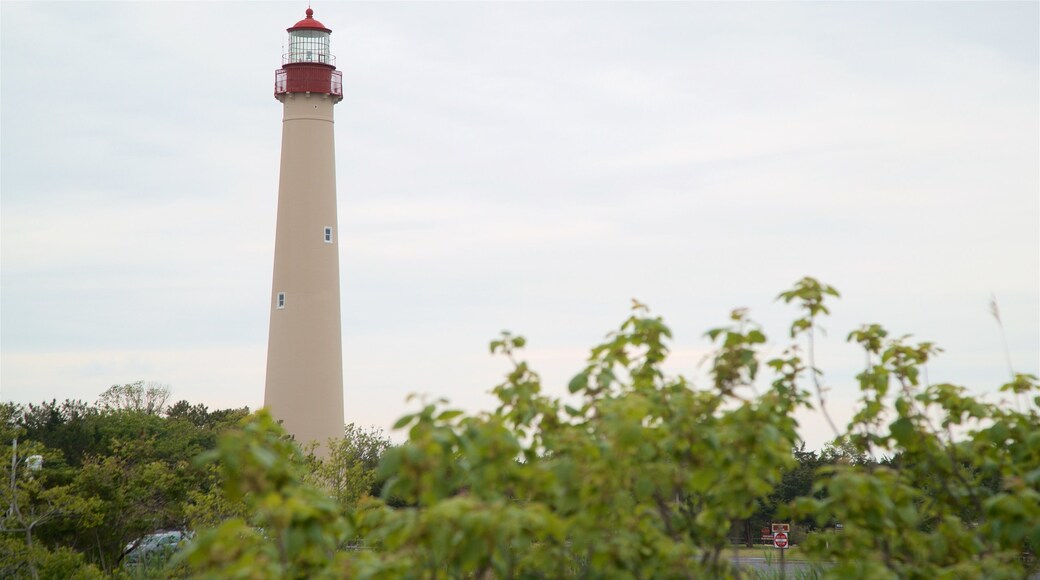 Cape May Point State Park featuring a lighthouse