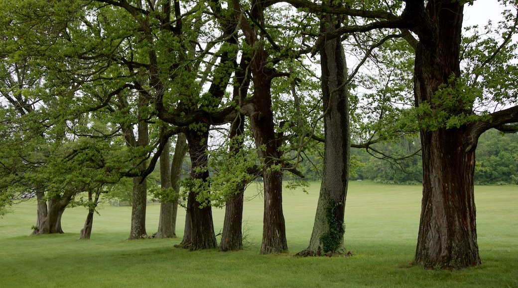 Princeton Battlefield State Park which includes a park