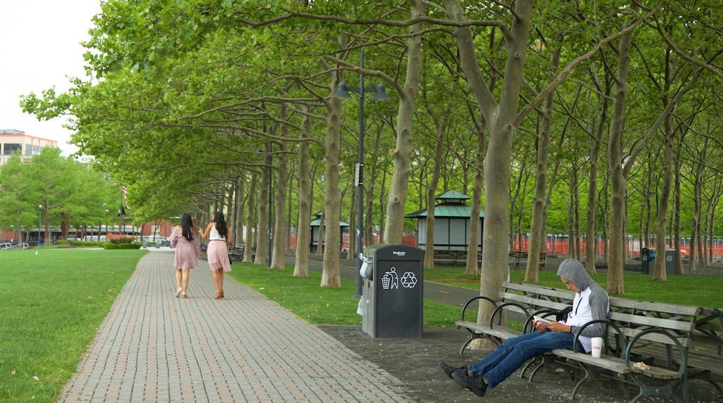 Parque Pier A mostrando un parque y imágenes de calles y también un hombre