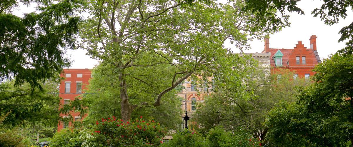 Van Vorst Park mostrando flores silvestres y un jardín y también una pareja