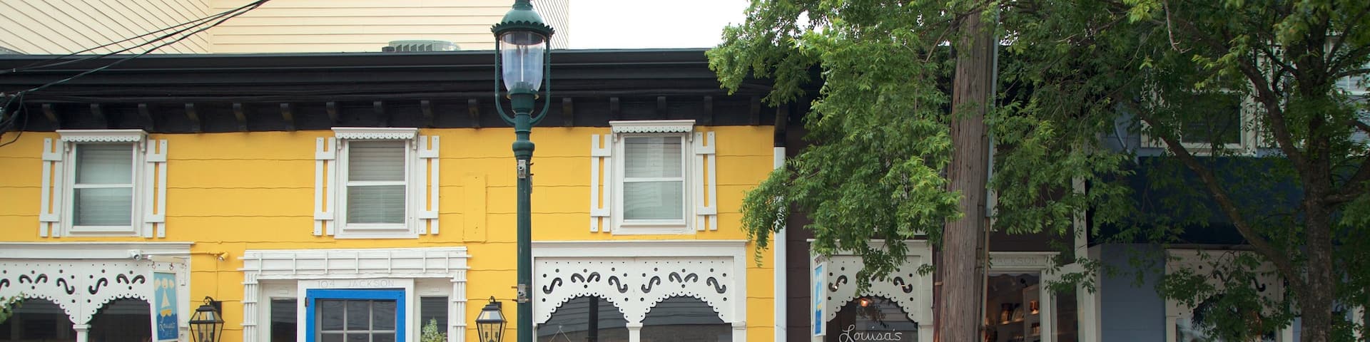 Washington Street Mall featuring a small town or village