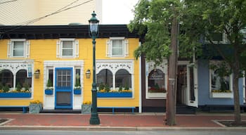 Washington Street Mall featuring a small town or village