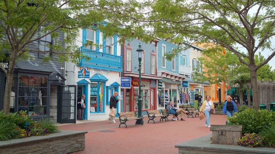 Washington Street Mall ofreciendo una pequeña ciudad o pueblo y escenas urbanas