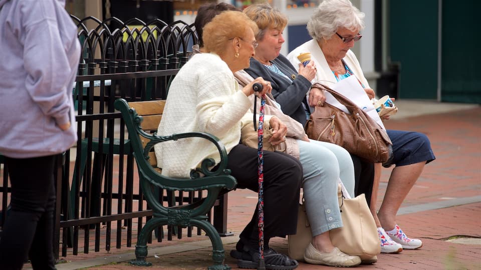 Washington Street Mall mostrando escenas urbanas y también un pequeño grupo de personas