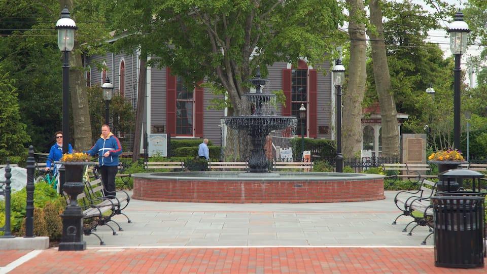 Washington Street Mall mostrando una fuente y un parque